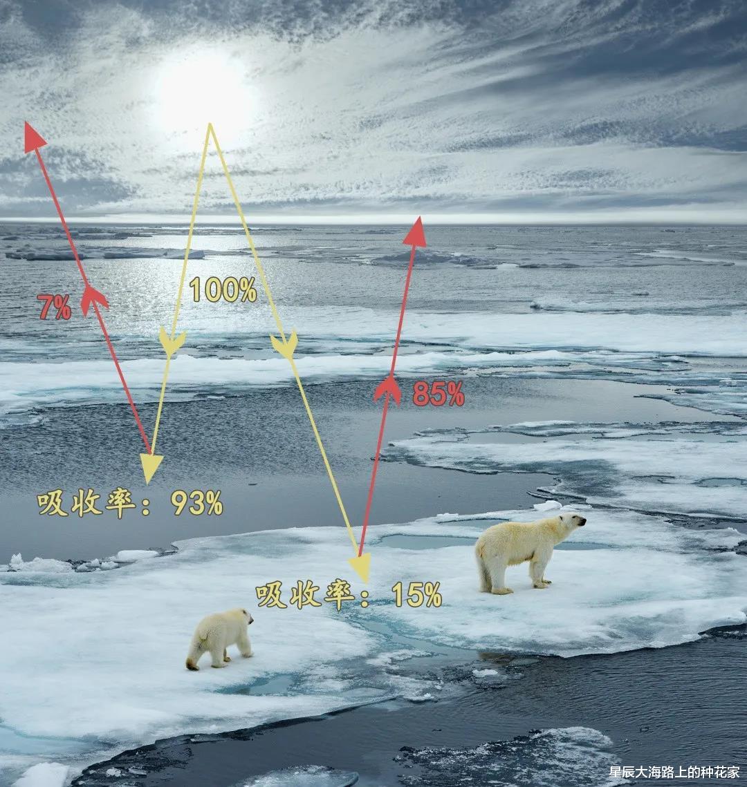 冰河期的预警来了?寒流速冻全国!科学家提醒:地球仍处在大冰期