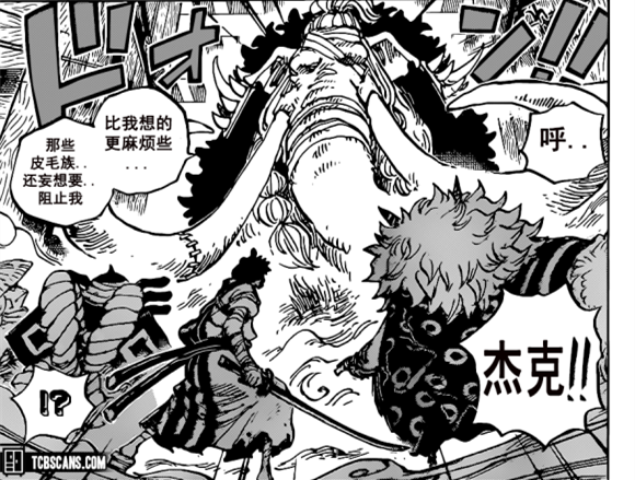 Cosplay|海贼王1008话汉化，凯多人兽形被丑哭，罗开始分兵解决两大四皇