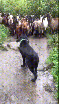 学姐说育儿|“兄弟们，我这是不是要截肢啊...”连腿都截掉最好！！