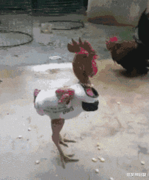 搞笑神回复|神回复:“入学第一天,怎么让同学记住我?”网友:干点奇葩事!