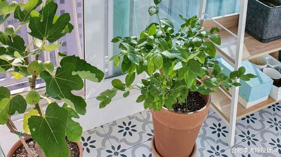 韩国主妇的日常生活，105㎡勤收拾，家中每一处都干净得像样板间