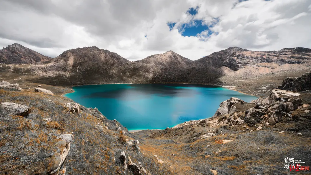 法制播报 今起，无限期禁止！