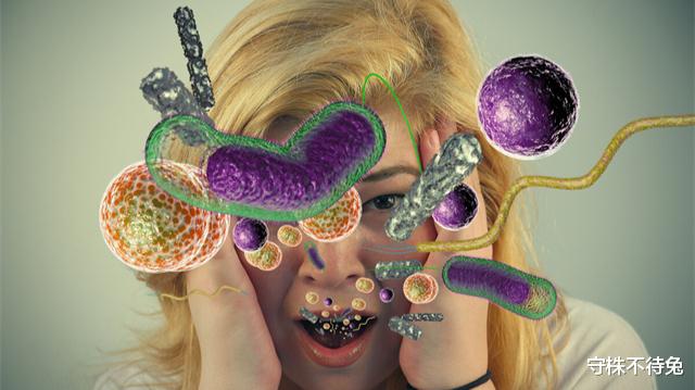 蚊子 书本上很少出现，容易产生误解的21个有趣冷知识