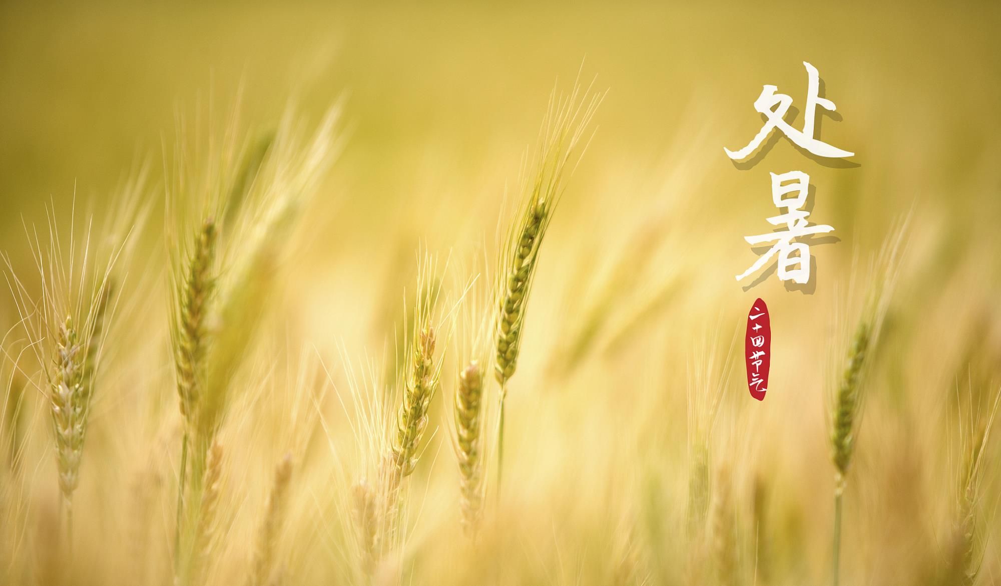 百艾堂|今日处暑：阳气渐弱、阴气渐盛！3宜3忌请知晓