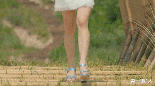 明星|这才是恋综的“天花板”！