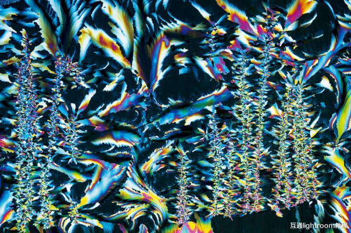 镜头|7个室内摄影技巧，让你拍出创意的室内照片