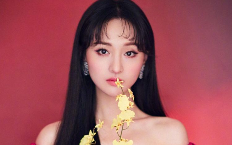 郑爽|郑爽被封杀，现身机场情绪低落，退圈视频文字版曝光：以前不懂事