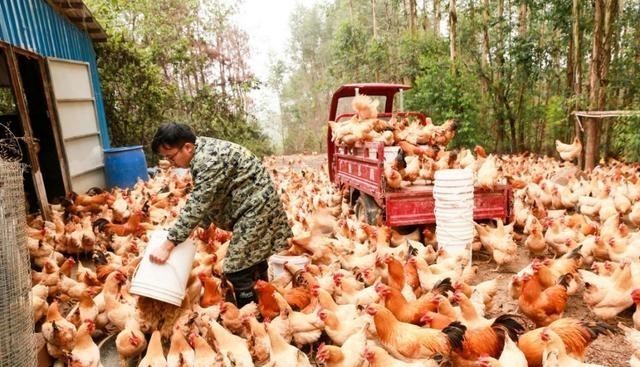 教教你家娃|养殖户注意了，3类养殖模式将受“严查”，不整改的或负法律责任