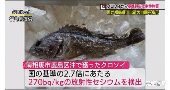惡果已顯！福島黑鲉魚核輻射超標，日本的謊言被戳破瞭-圖2