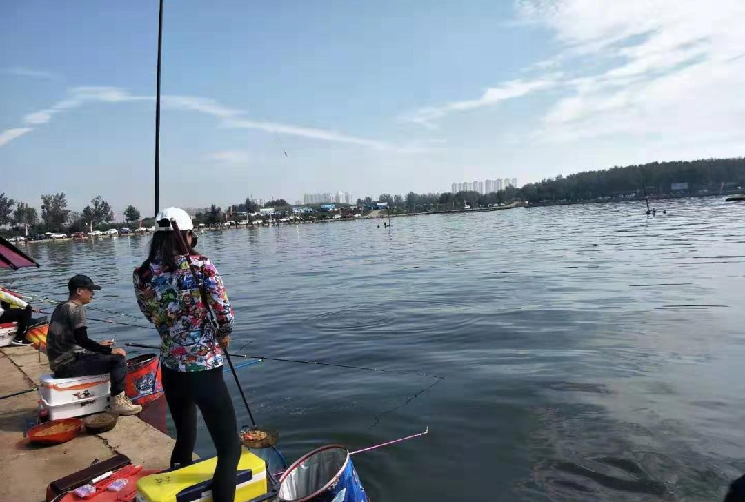 蟑螂|鱼塘里投放了樟脑丸，鱼不开口怎么办？