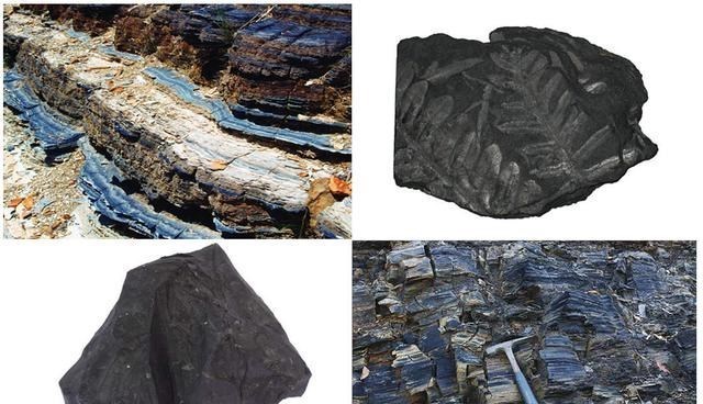 科学家 趣味问题：石油能否再生，汽车为何一定要电动化？