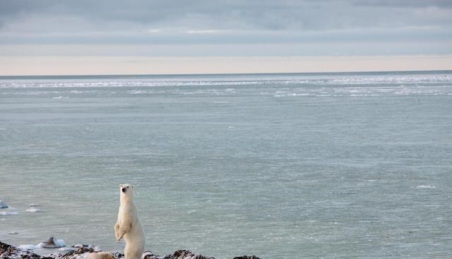 科学家 联合国：21世纪末，青藏高原融化至1/3，数万史前病菌可能复活