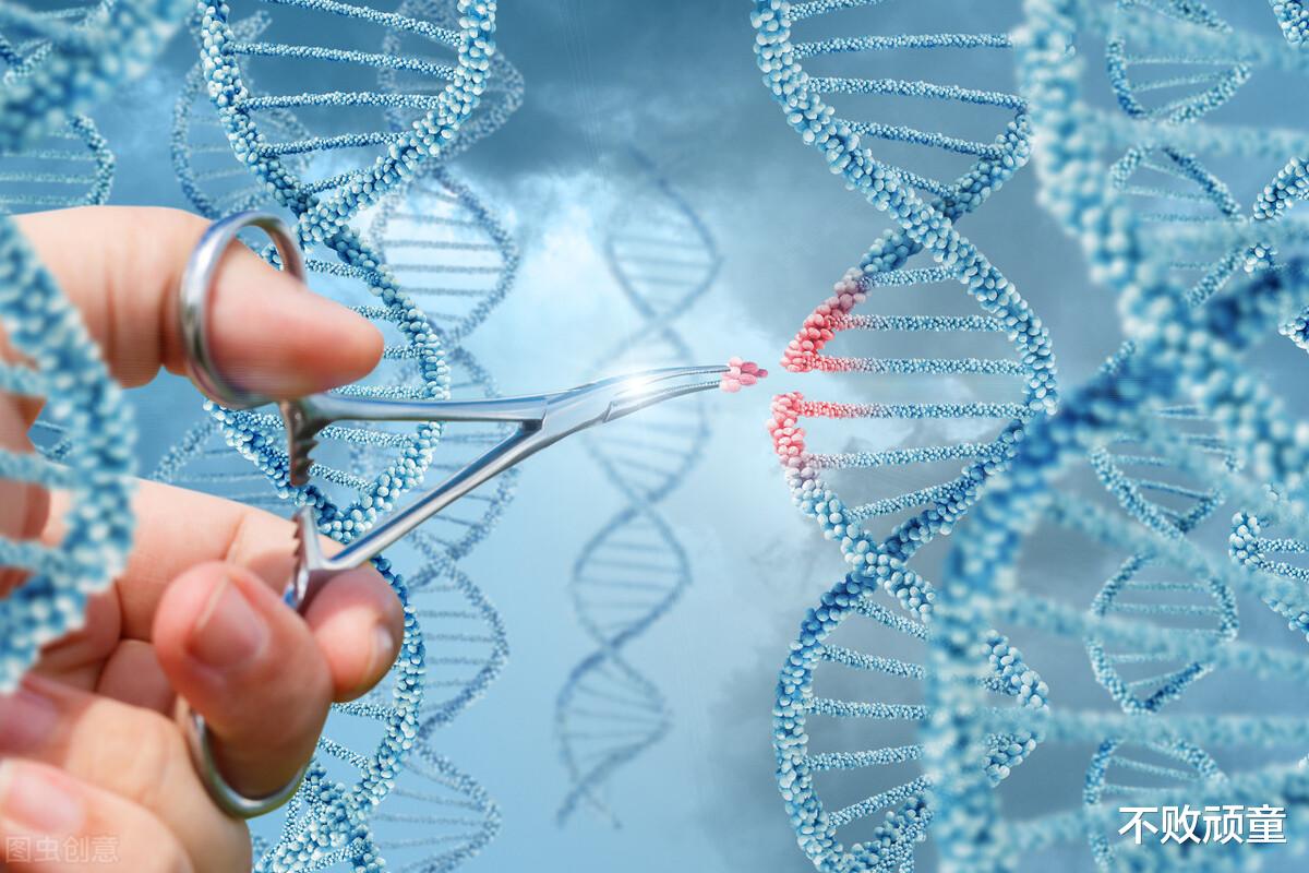 寒武纪 6年前中国科学家发现唯一的恐龙肉身残骸，恐龙复活恐不再是幻想