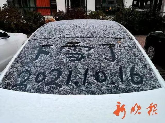 电子商务|一觉醒来，哈尔滨人的朋友圈全“白”了