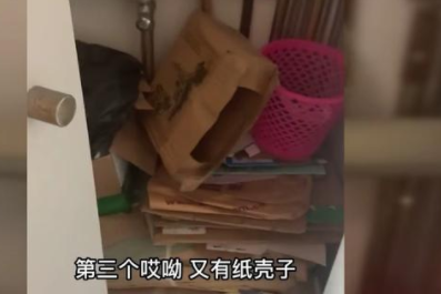 高校女厕所10个坑被保洁占了6个,得知真相后网友劝女生专升本
