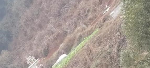 中外漫說 湖南“亂象”，公園變“墓地”，200多人出動拆除違建