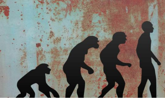 古人类 改变人类演化?中国发现全新古人类支系,或是现代人类最近亲戚