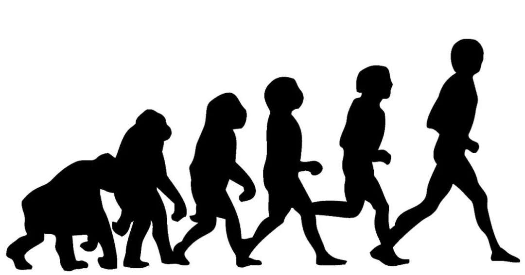 基因 一夫一妻使自然选择失效，导致人类进化停止？其实人类在加速进化