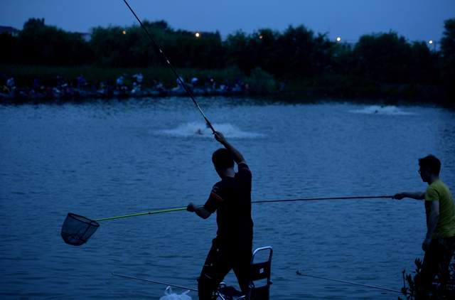 饵料|夏季夜钓，这几点需要注意，6月不学就太亏了，不信就试试
