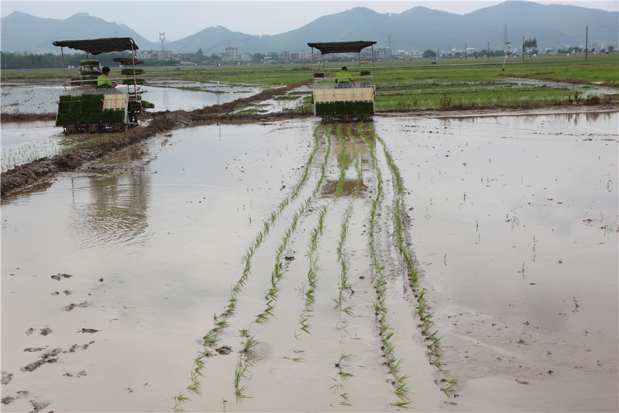 廣西生活圈 村(社區)“兩委”換屆選舉督導日記(三)