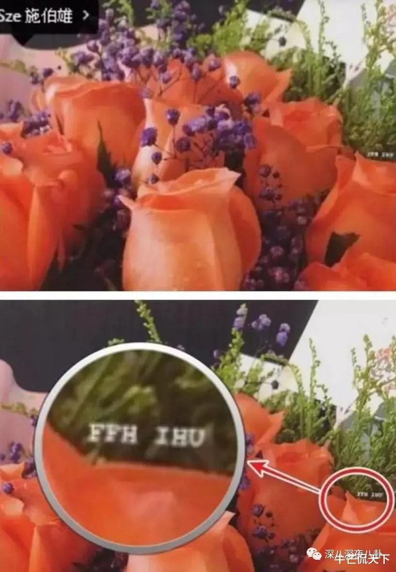 林峰|前任翻车后，她的口碑反转了？