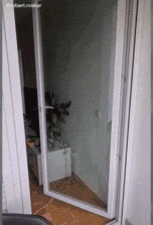 女装|“从领导办公室出来的女同事，这衣服怎么还穿反了？”这是要升职