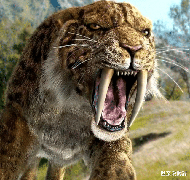 螺旋藻 大熊猫那么懒，为啥猛犸象都灭绝了，它却能生存下来？