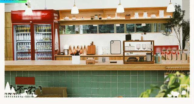 红秀|徐峥、沈腾现身黄渤的《忘不了农场》，宋祖儿调戏大鹅反被追赶