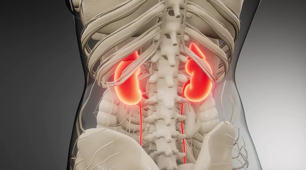 体检|体检查出囊肿，会变成癌么？要切除么？