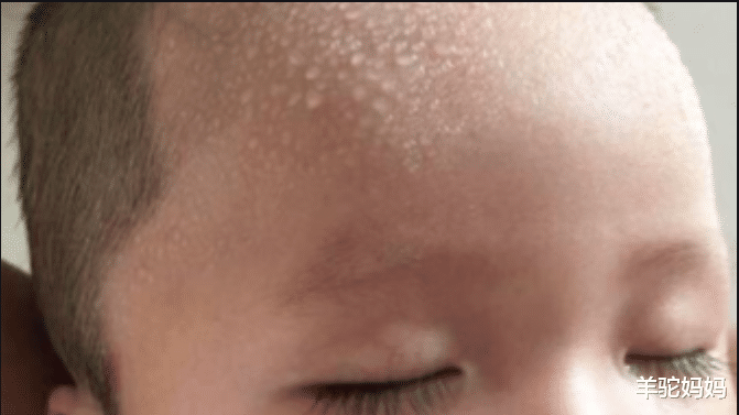 羊驼妈妈|“脾胃虚”的宝宝，身上这2个部位经常出汗，父母早了解娃早受益