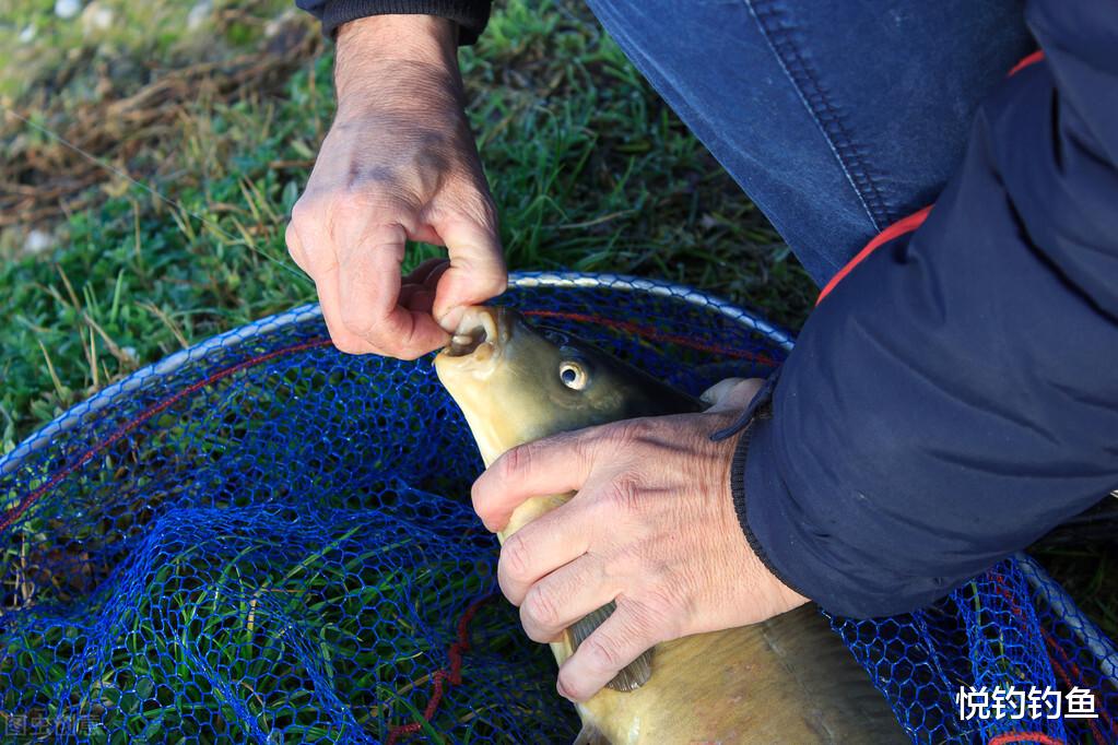 玉米|钓鱼时该如何选择鱼线以及使用时该注意哪些问题?