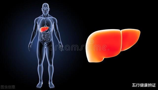 |中医常说观3镜,知全身!屁为脾之镜,胁为肝之镜,踵为肾之镜