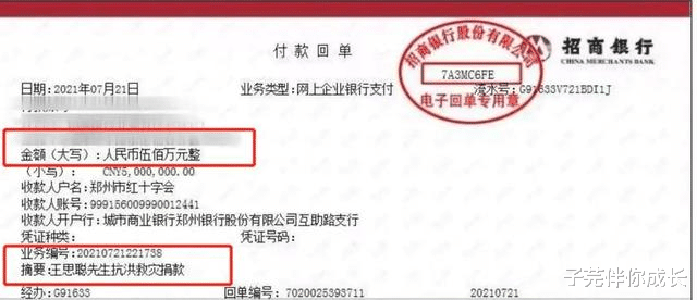 孙俪|孙俪邓超捐款100万被嘲,李子柒丁真成反面教材:做人,请你厚道