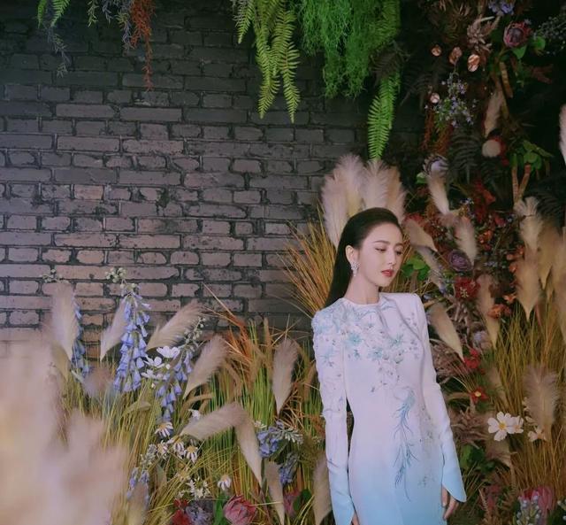 佟丽娅|佟丽娅身材真丰满，穿修身礼服藏不住凹凸感