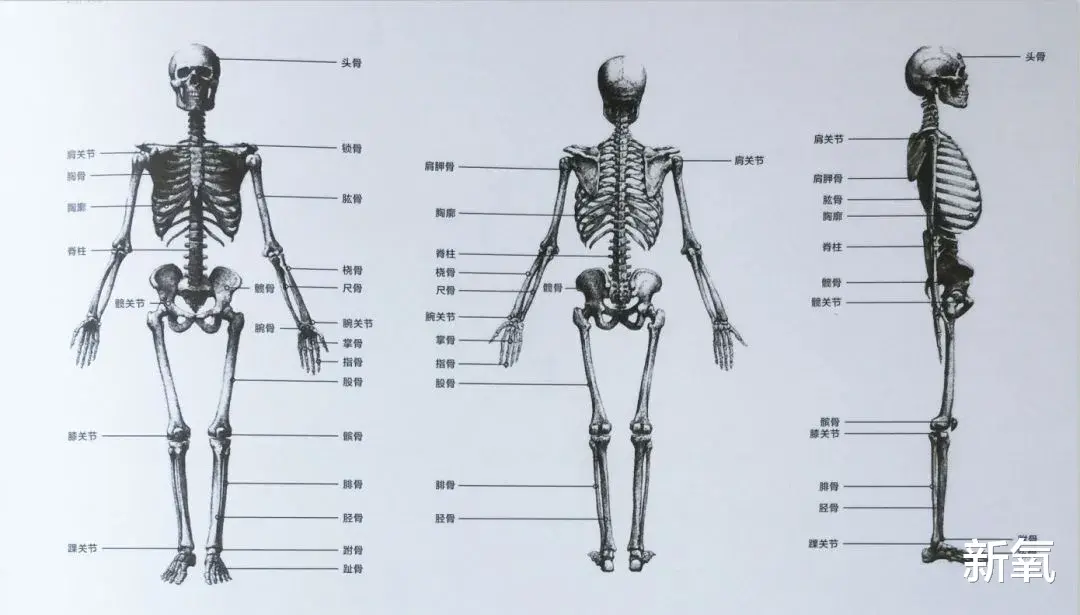 肠镜|追求过度的审美畸形，把腿p再长也有破绽