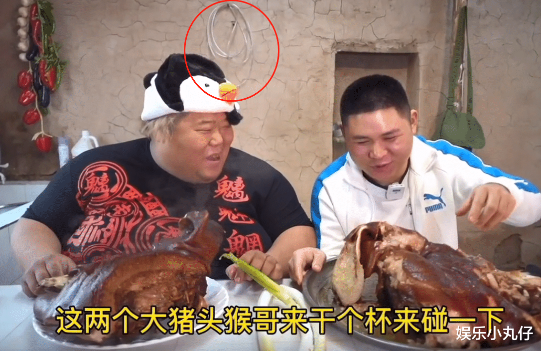 |胖猴仔近况曝光，喘气声粗大状态不佳，家里常备三个呼吸机