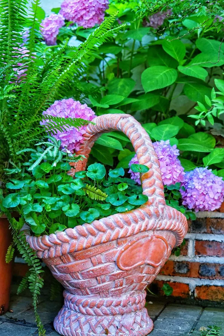 四楼80㎡荒废露台，DIY打造空中小花园，成了朋友们聚会的打卡地