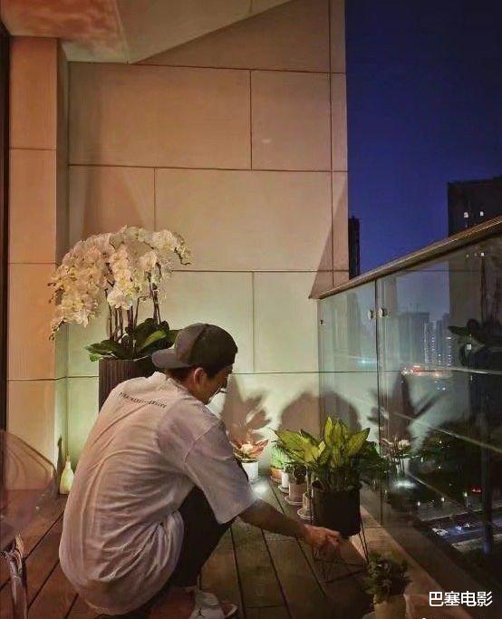 姚策|才37岁的张翰，为何这么有钱？壕，太壕了