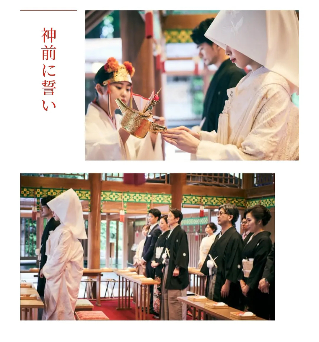 张哲瀚|在靖国神社笑容灿烂，发东京银座照片配字“回到祖国”，张哲瀚不凉？