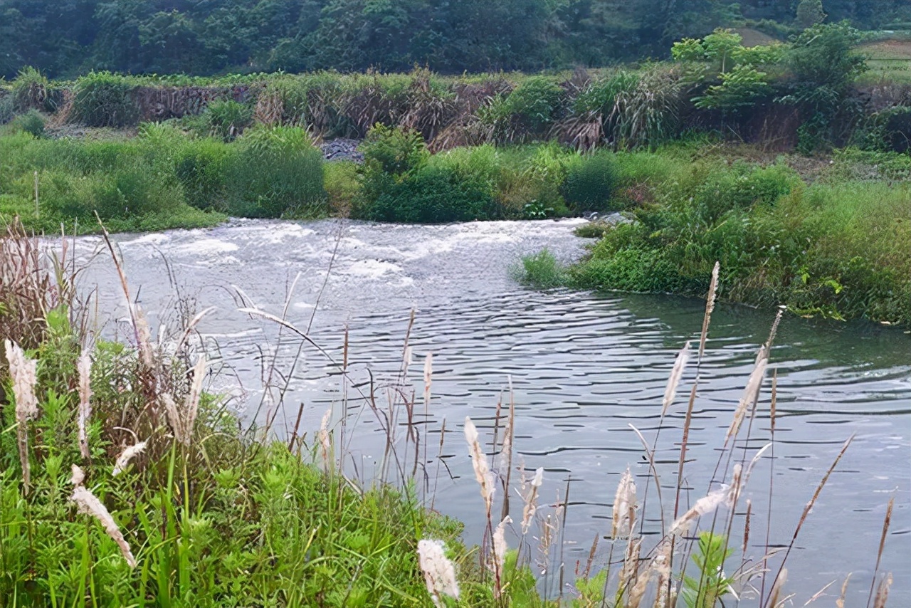 |野河钓鲫鱼遇流水，教你一招，既能防走漂又能及时看到鱼吃口