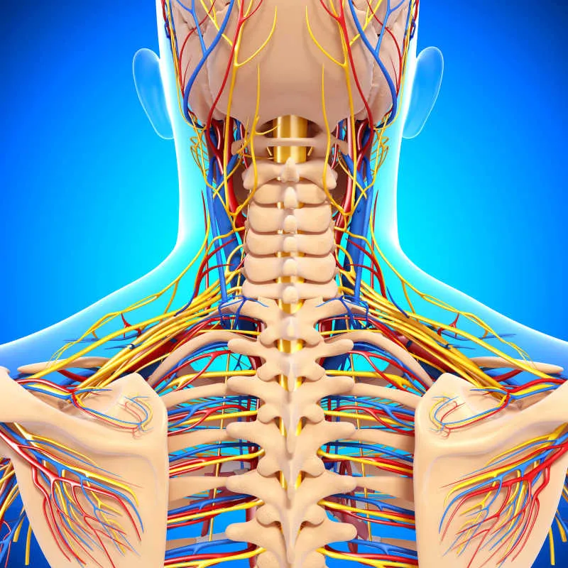 人的7大缺陷，有一个你绝对意想不到~