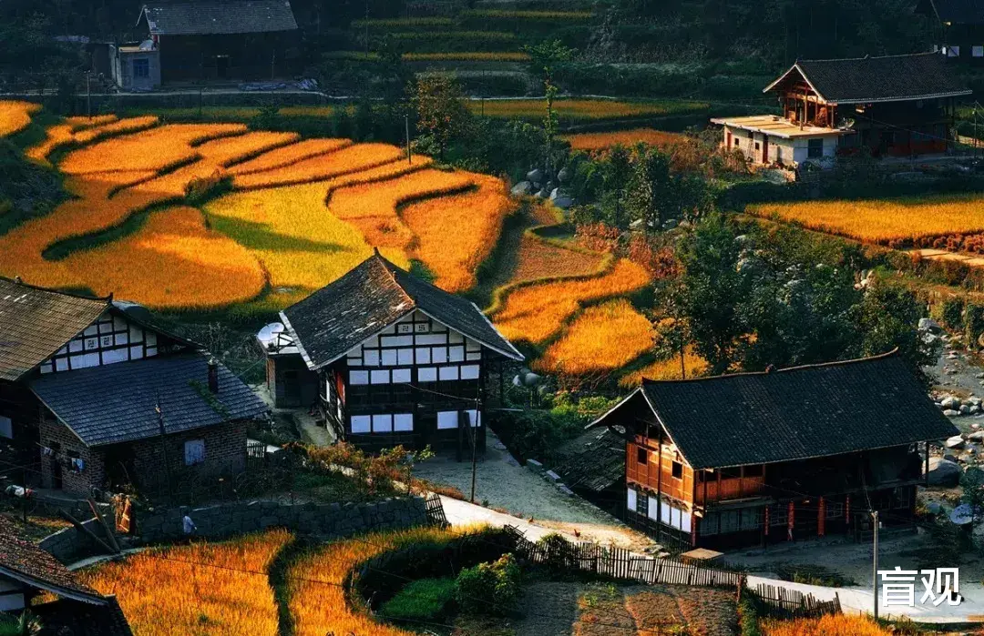 突然发现,秋季的印象来自于照片,而并非记忆