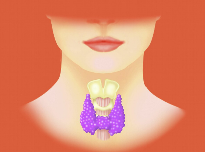 苹果|天然“散结王”大公开,苹果排第3,“第1”很多人没注意