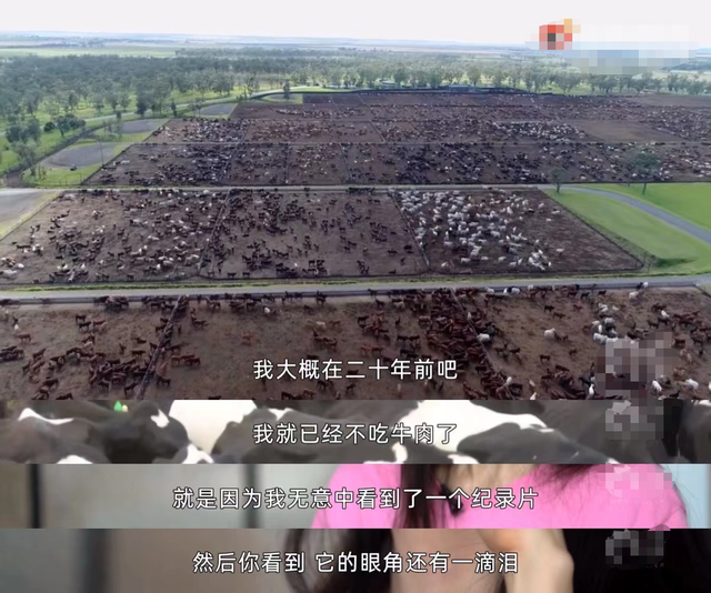 人造肉|《素食行者》自导自演，不让吃肉的背后，中信资本才是主角