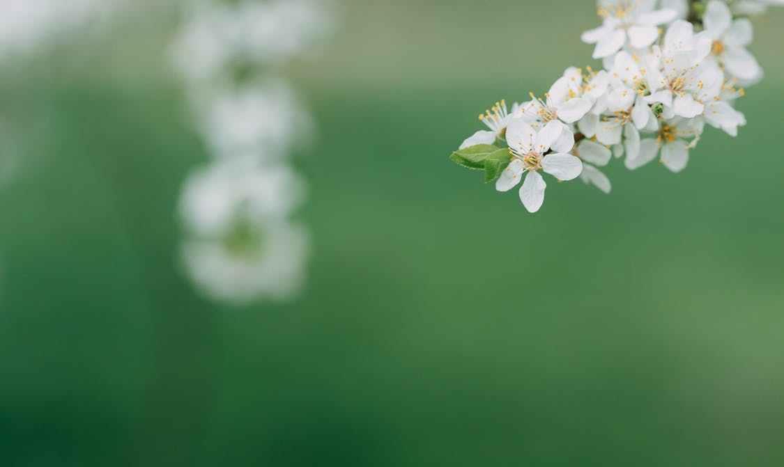 开心生活助手|与人相处，凡事多留个心眼，有备无患
