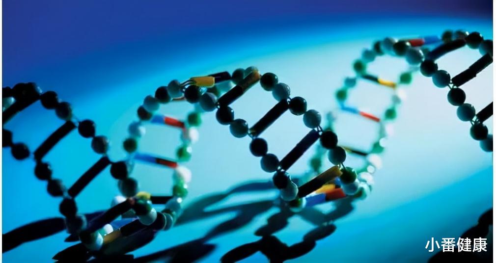  乙肝NA药物，解读其抑制机理，ASC42对PBC临床研究获受理