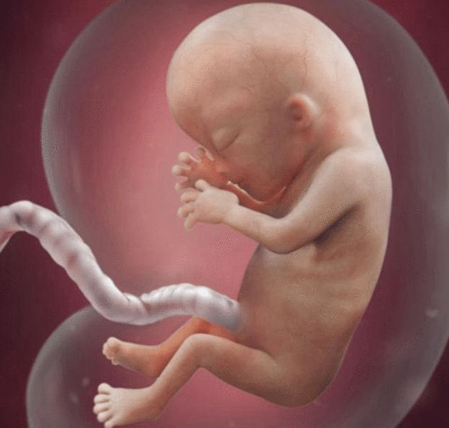 西红柿妈妈|“最疼妈”的小宝贝火了，出生就求抱抱，网友：孟婆汤掺水了？