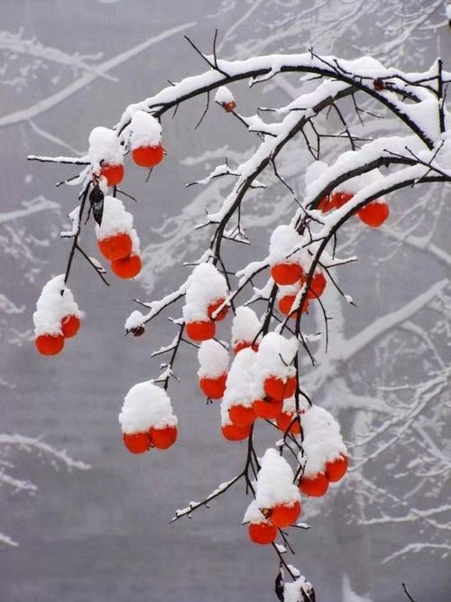 动力|压力太大的时候，就允许自己做一个“自私”的人吧。