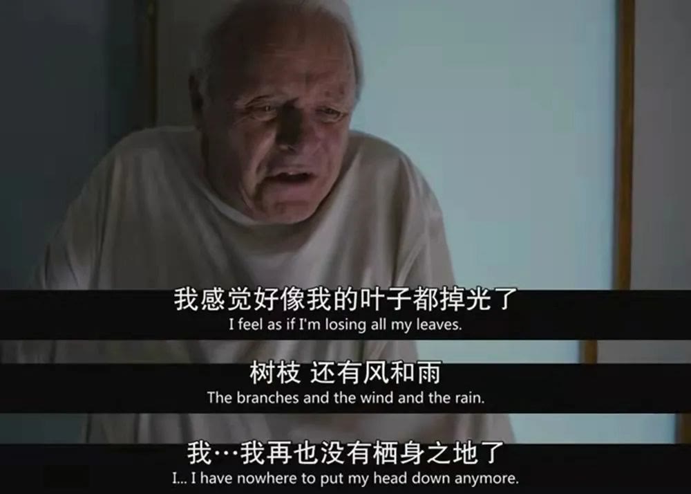 红团团医生LYNN|1000万中国人被盯上，阿尔兹海默症认知退化，是一点点加速发生的