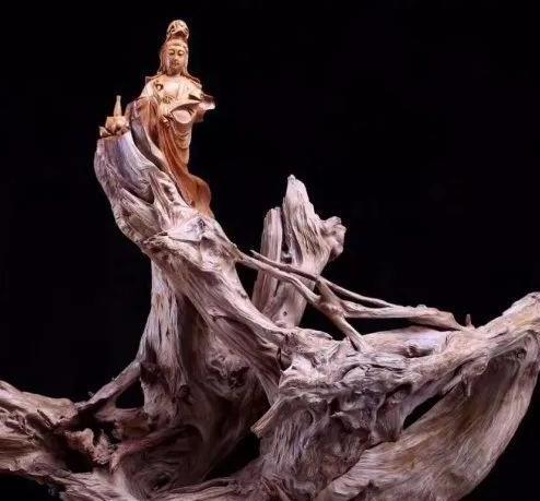 |崖柏不值钱了？这6种崖柏，一般人玩不起